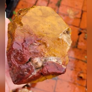 Rough Lapidary Jasper Red Orange